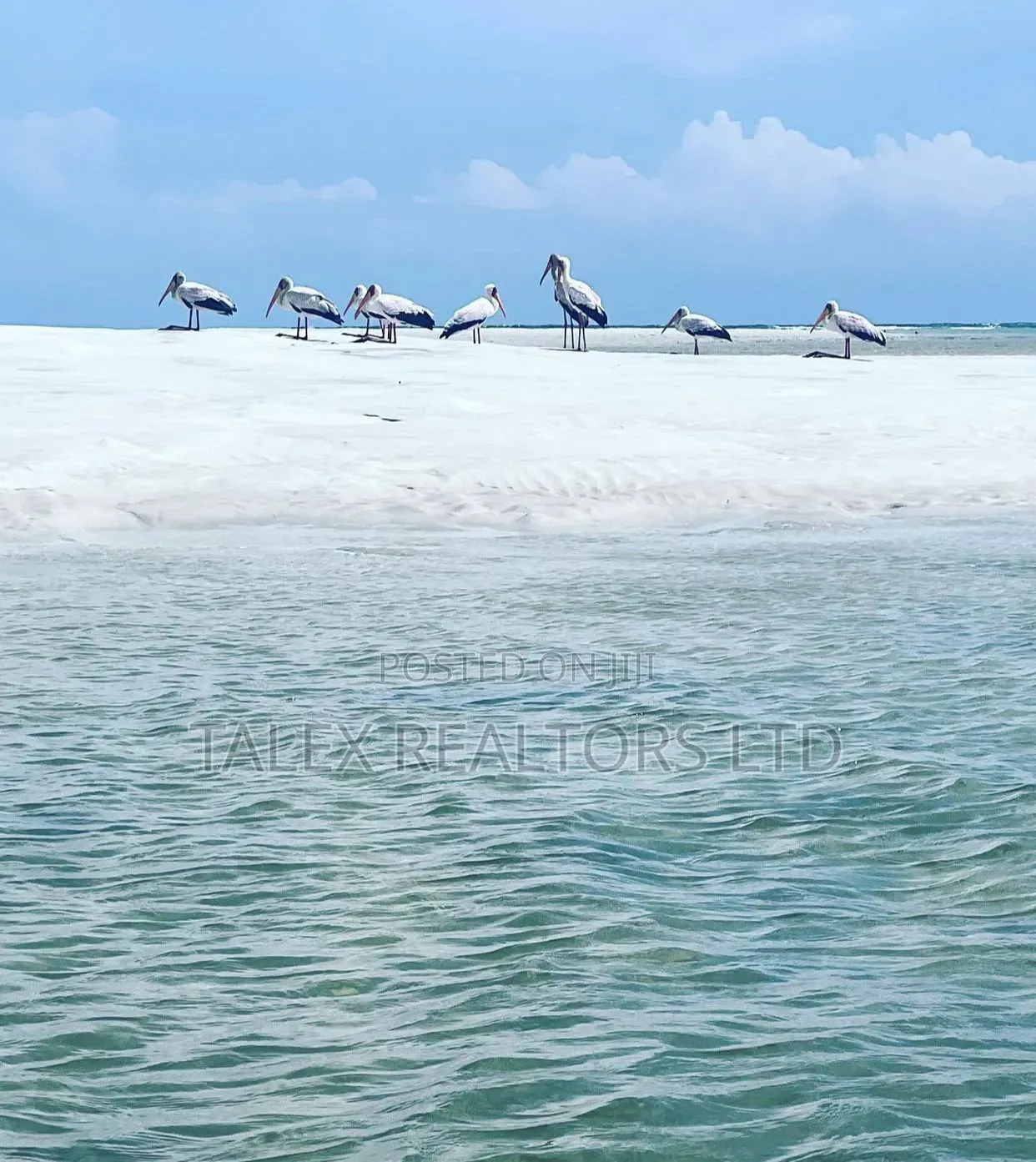 Funzi Island: Own the Last Secret of the Kenyan Coast – Elite Buy Land in Diani