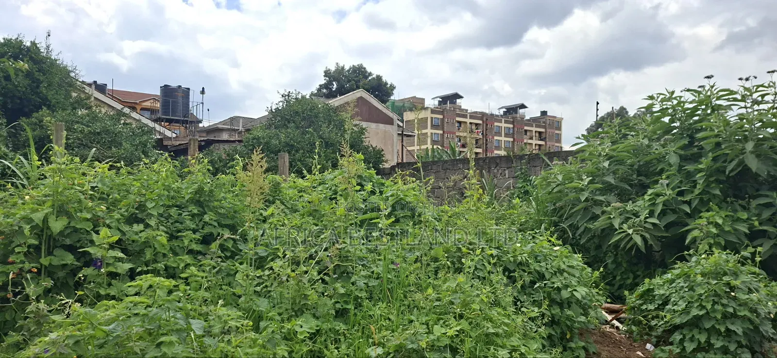100x100 Available Plot in Kikuyu Kidfarmaco Estate in Kikuyu