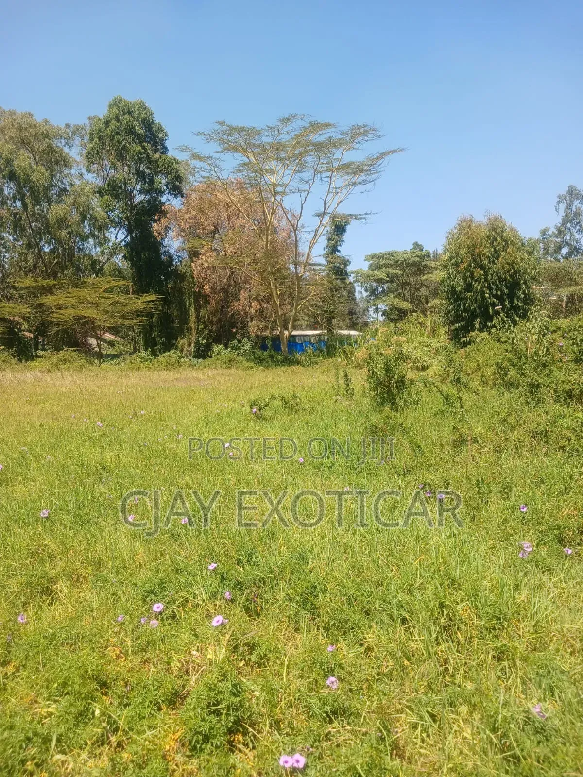 Karen C Land for Sale in Karen C