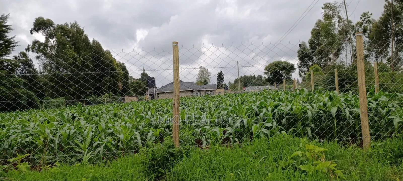 Kikuyu Sigona Prime and Residential Plots in Kikuyu