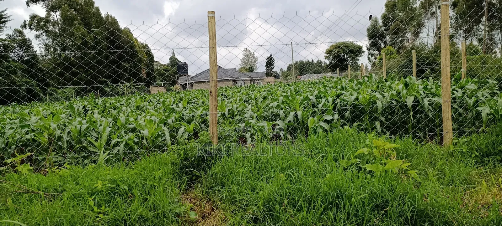 Kikuyu Sigona Prime and Residential Plots in Kikuyu