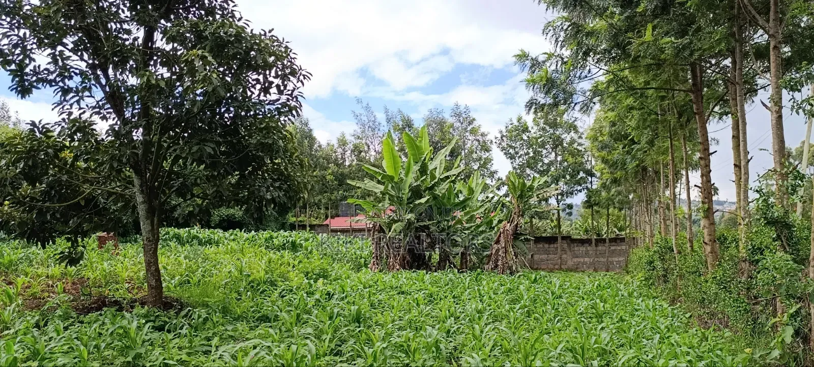 Kikuyu Sigona Kerwa Plots for Sale in Kikuyu