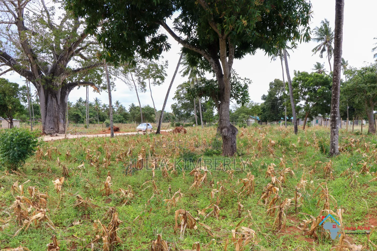 Chumani 50 by 100 KSH Cash Buyers KSH  in Kilifi Town