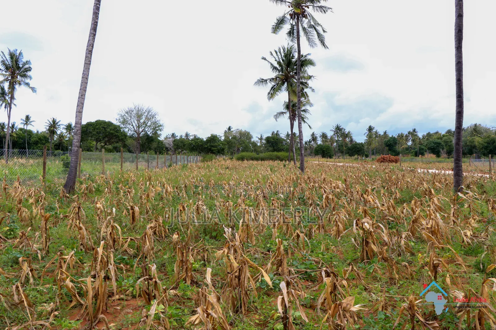 Chumani 50 by 100 KSH Cash Buyers KSH  in Kilifi Town