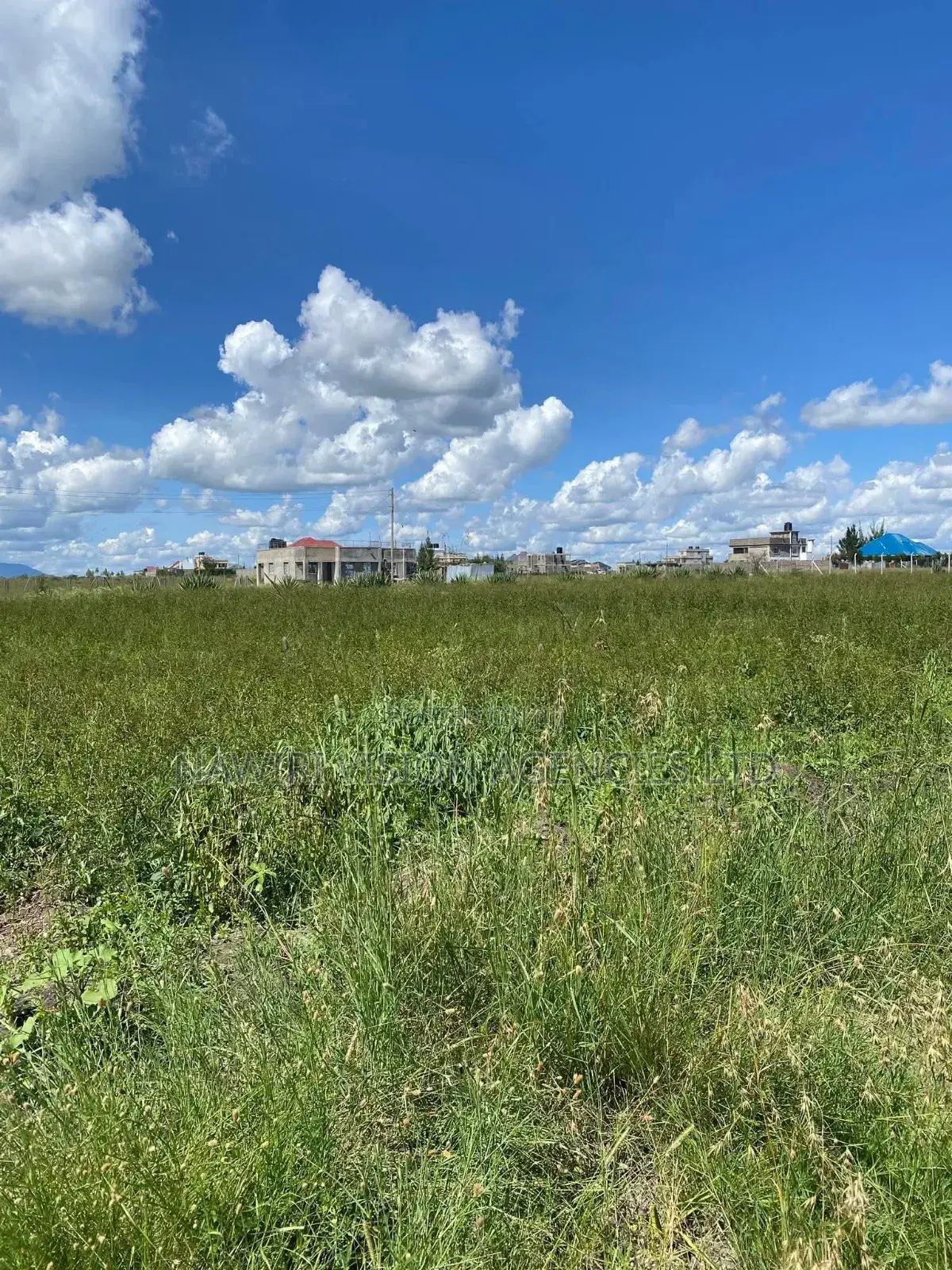 Prime Land for Sale in Malaa in Malaa