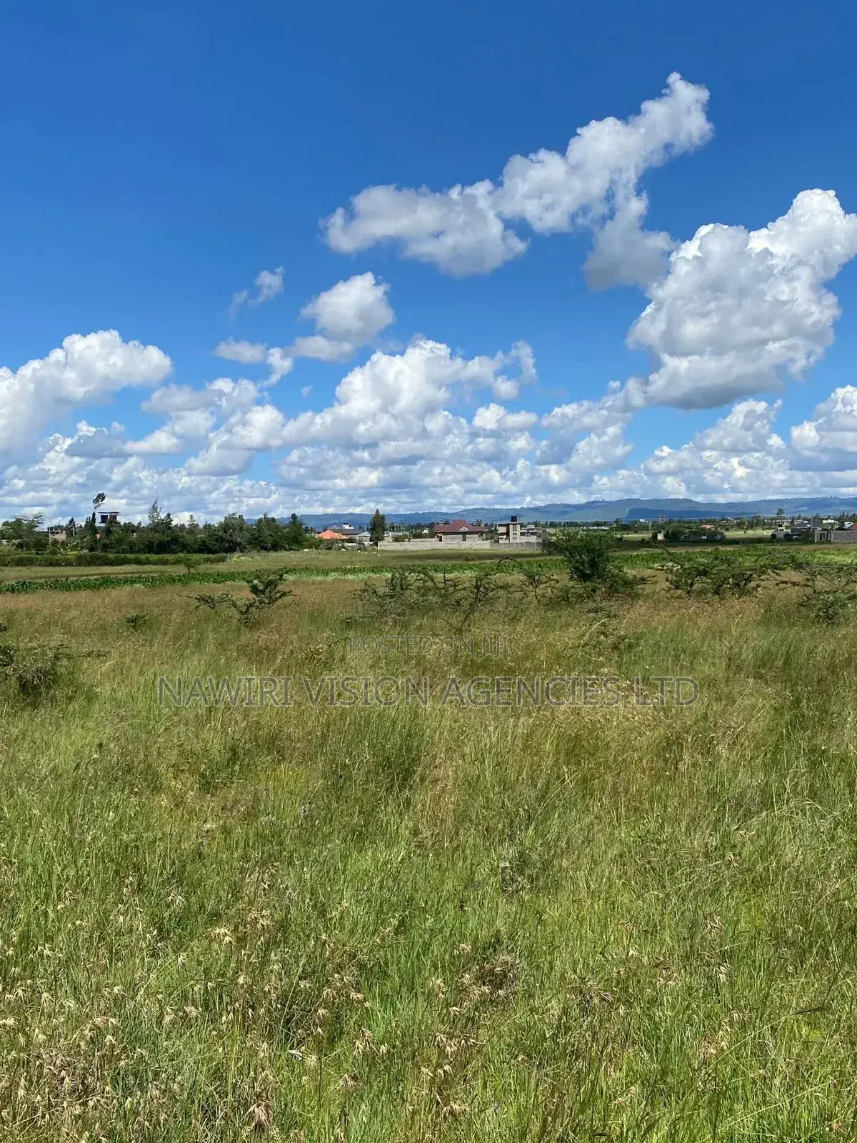 Prime Land for Sale in Malaa in Malaa