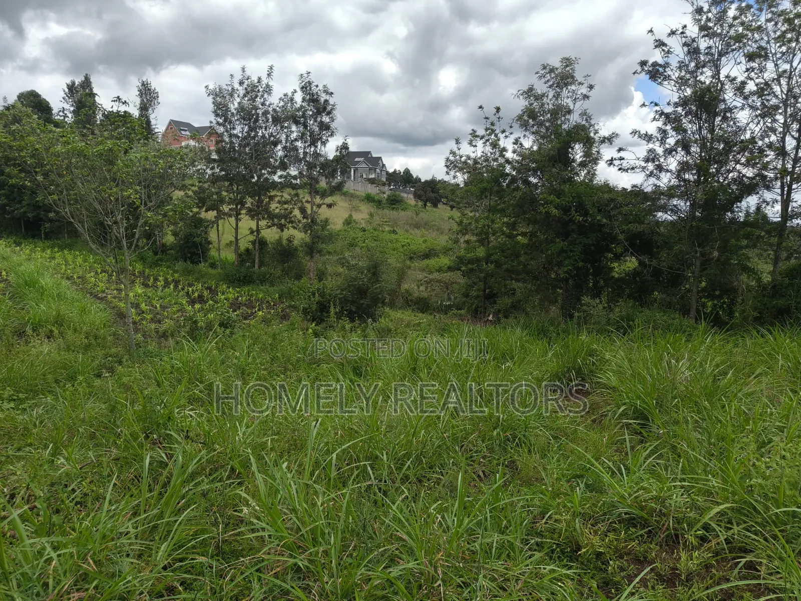 Quarter Acre Plot for Sale in Ongata Rongai, in Ol Keri
