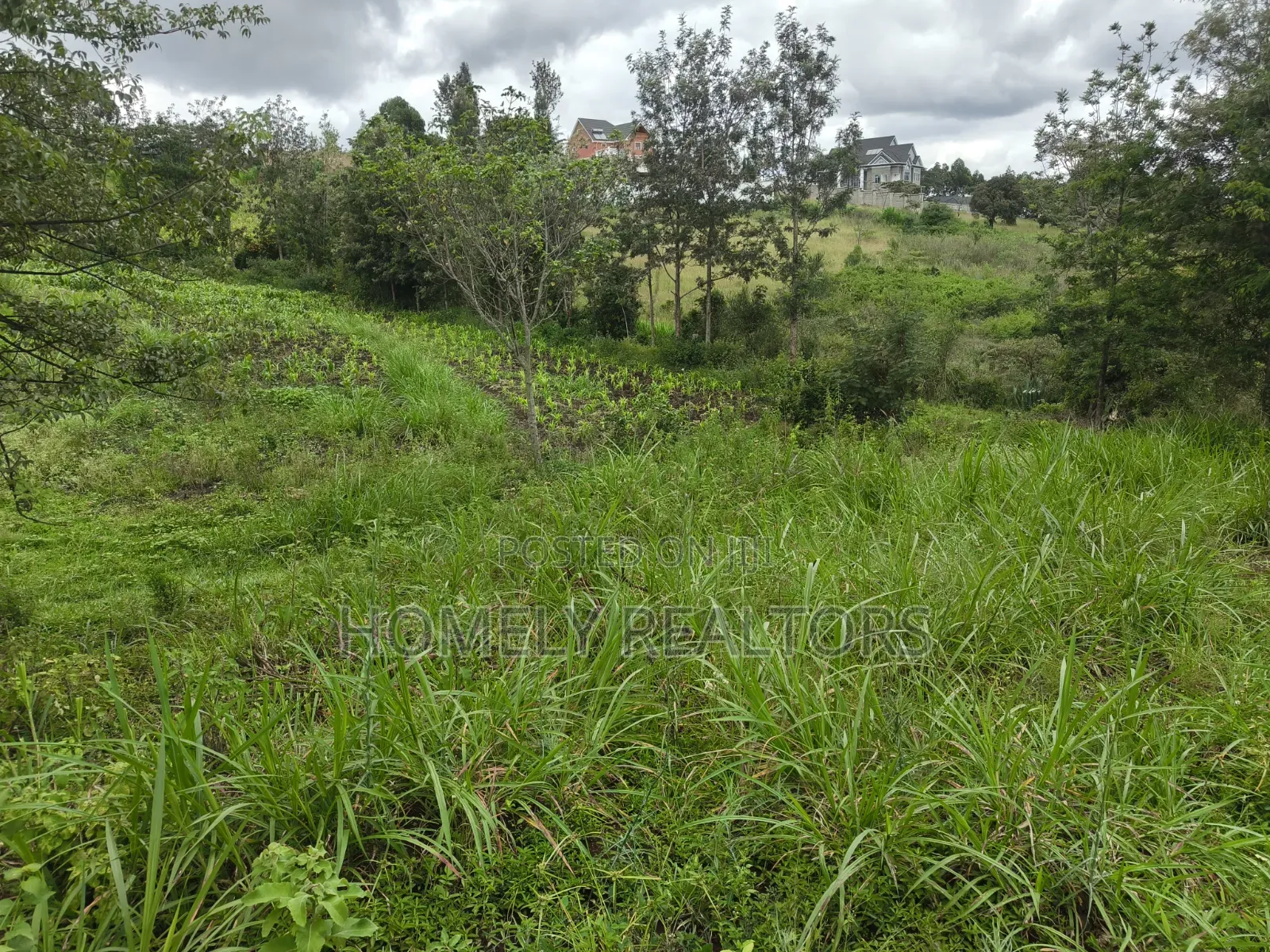 Quarter Acre Plot for Sale in Ongata Rongai, in Ol Keri
