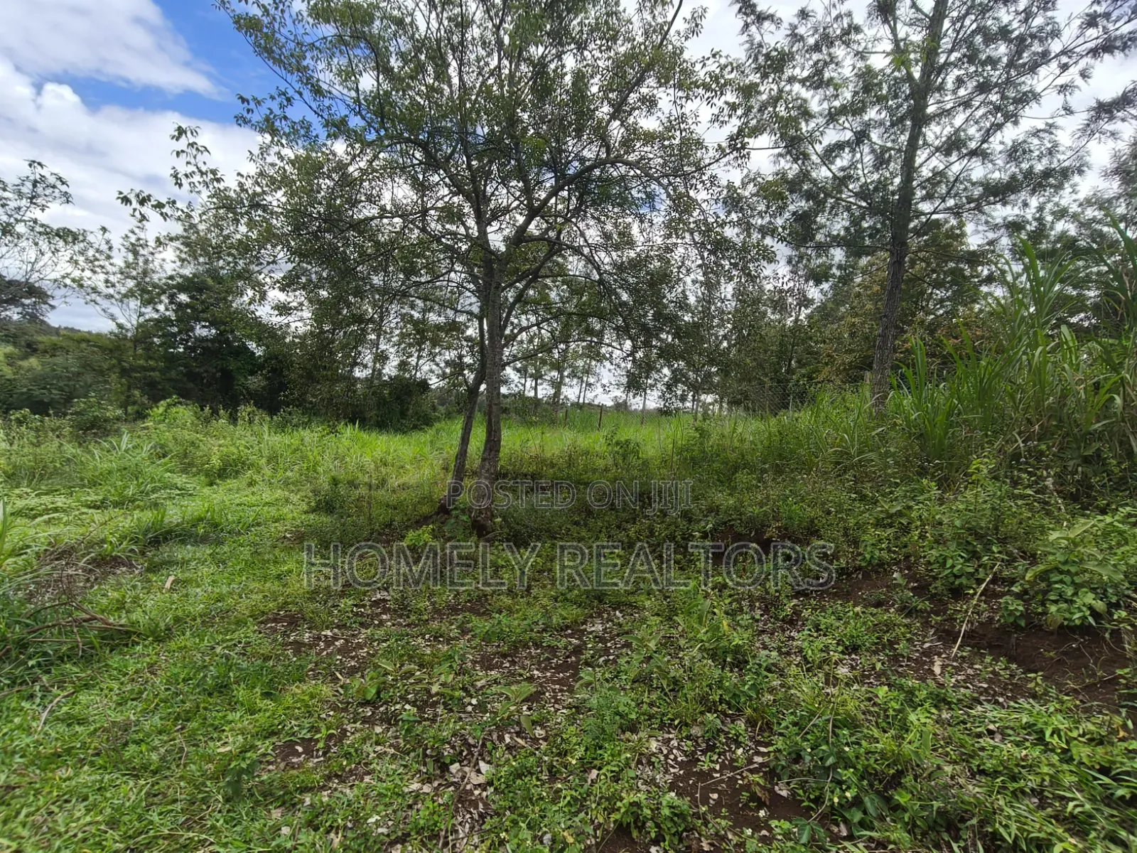 Quarter Acre Plot for Sale in Ongata Rongai, in Ol Keri