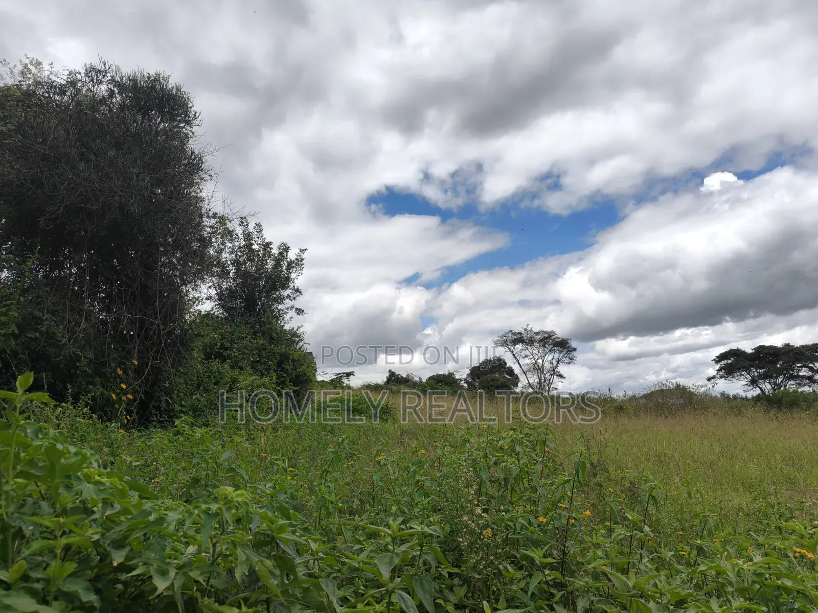 Residential Quarter Acre Plot for Sale in Ngong, Ol Keri in Ol Keri