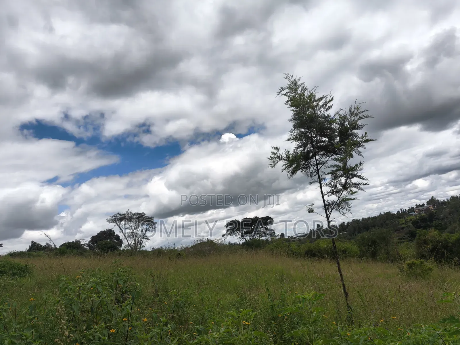 Residential Quarter Acre Plot for Sale in Ngong, Ol Keri in Ol Keri