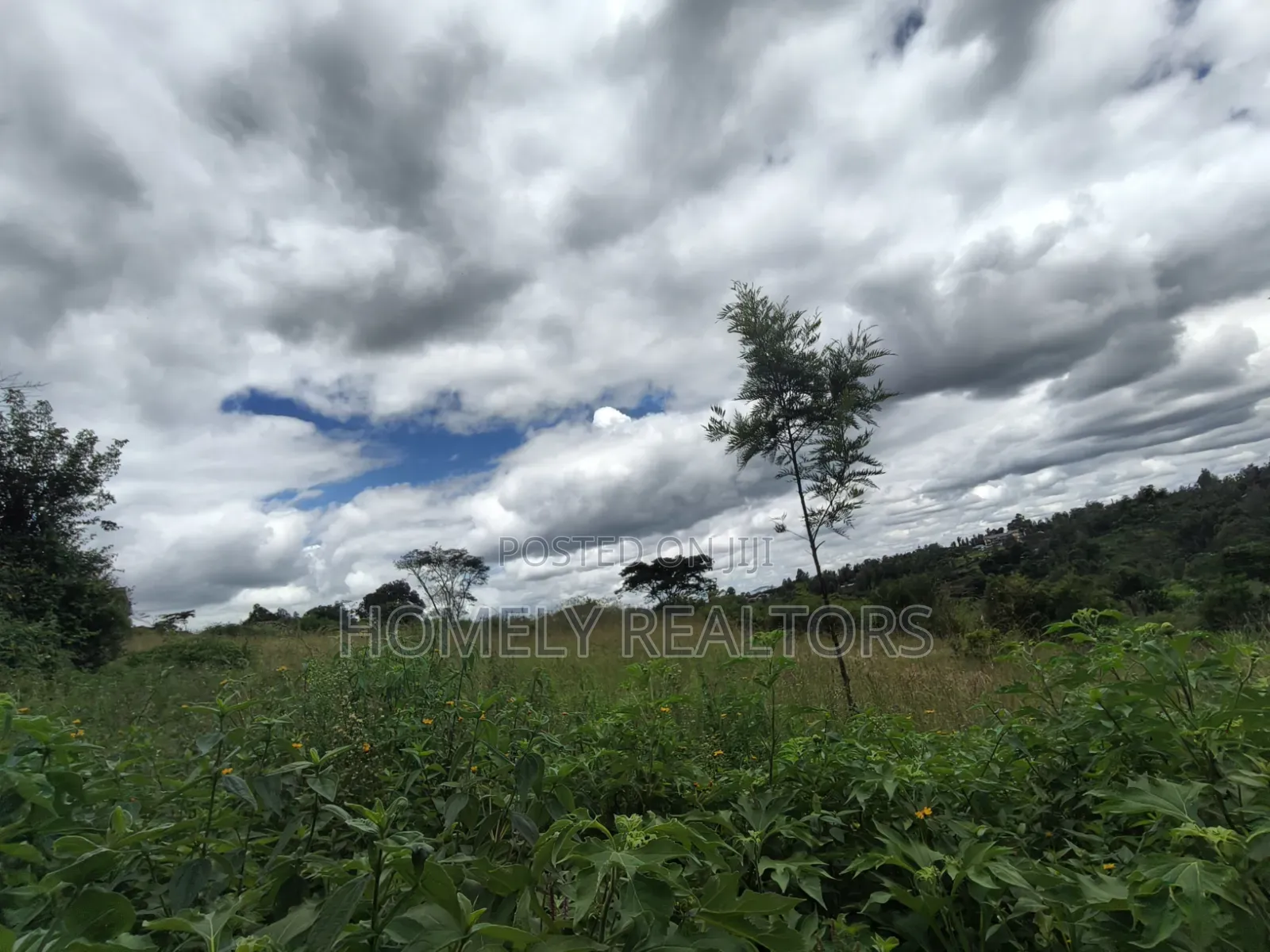Residential Quarter Acre Plot for Sale in Ngong, Ol Keri in Ol Keri