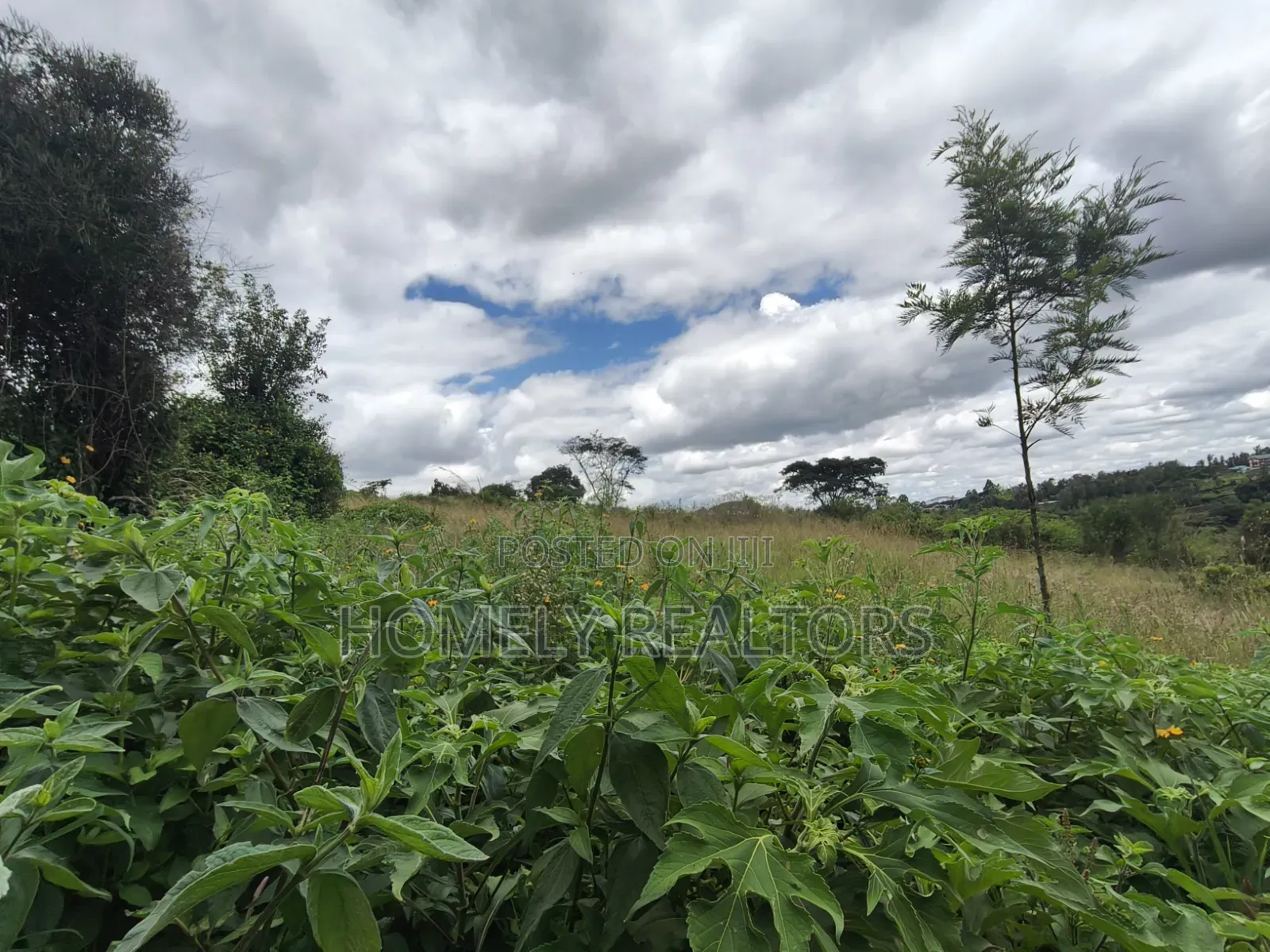 Residential Quarter Acre Plot for Sale in Ngong, Ol Keri in Ol Keri