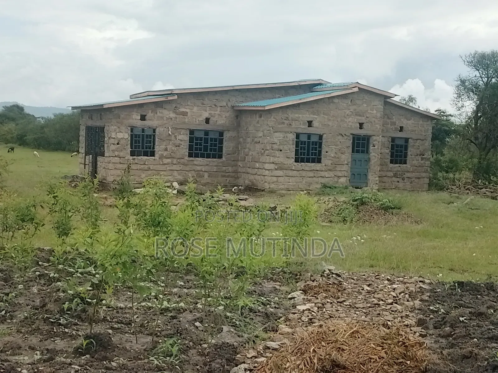 Half an Acre at Mitaboni in Mitaboni