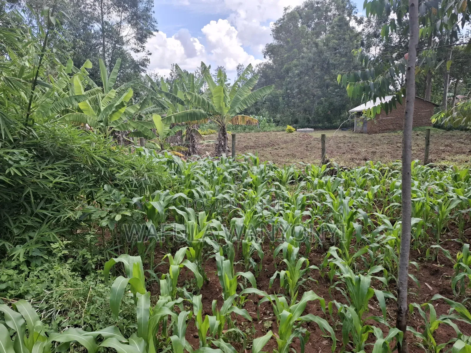 0.15 Ha Plot Ranje in Khalaba (Kanduyi)