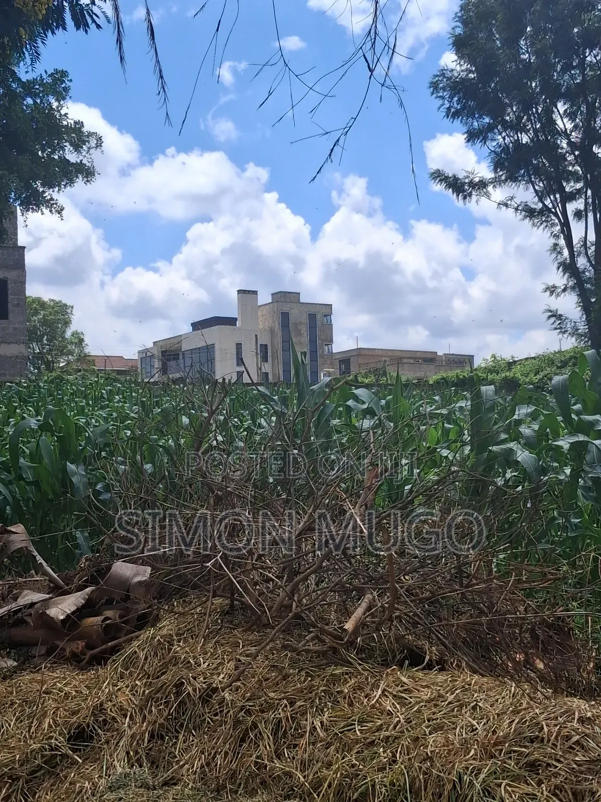 Kamiti Ridge Estate Prime Fully Serviced 1/4 Acre Corner Plot in Kahawa Maziwa