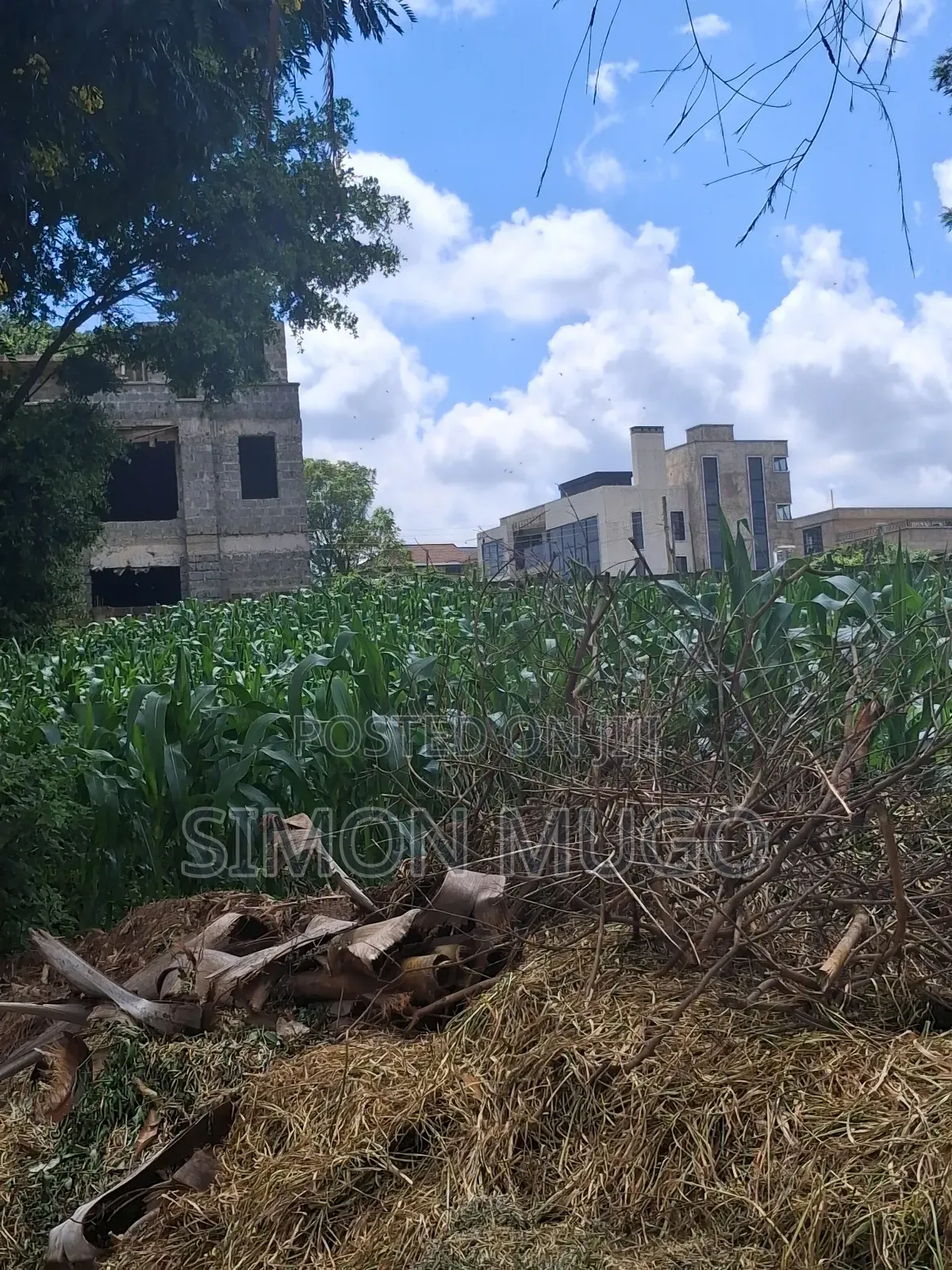 Kamiti Ridge Estate Prime Fully Serviced 1/4 Acre Corner Plot in Kahawa Maziwa