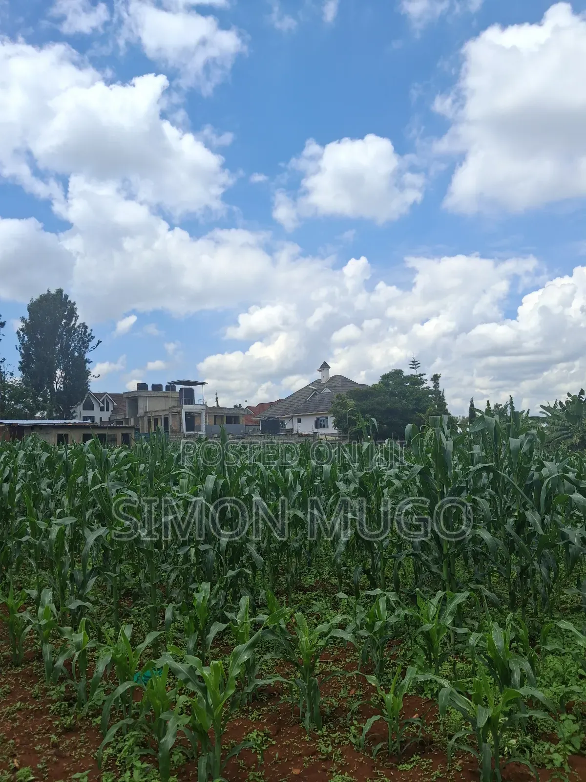 Runda Prime 1.5 Acres Touching Northern Bypass in Kahawa Maziwa