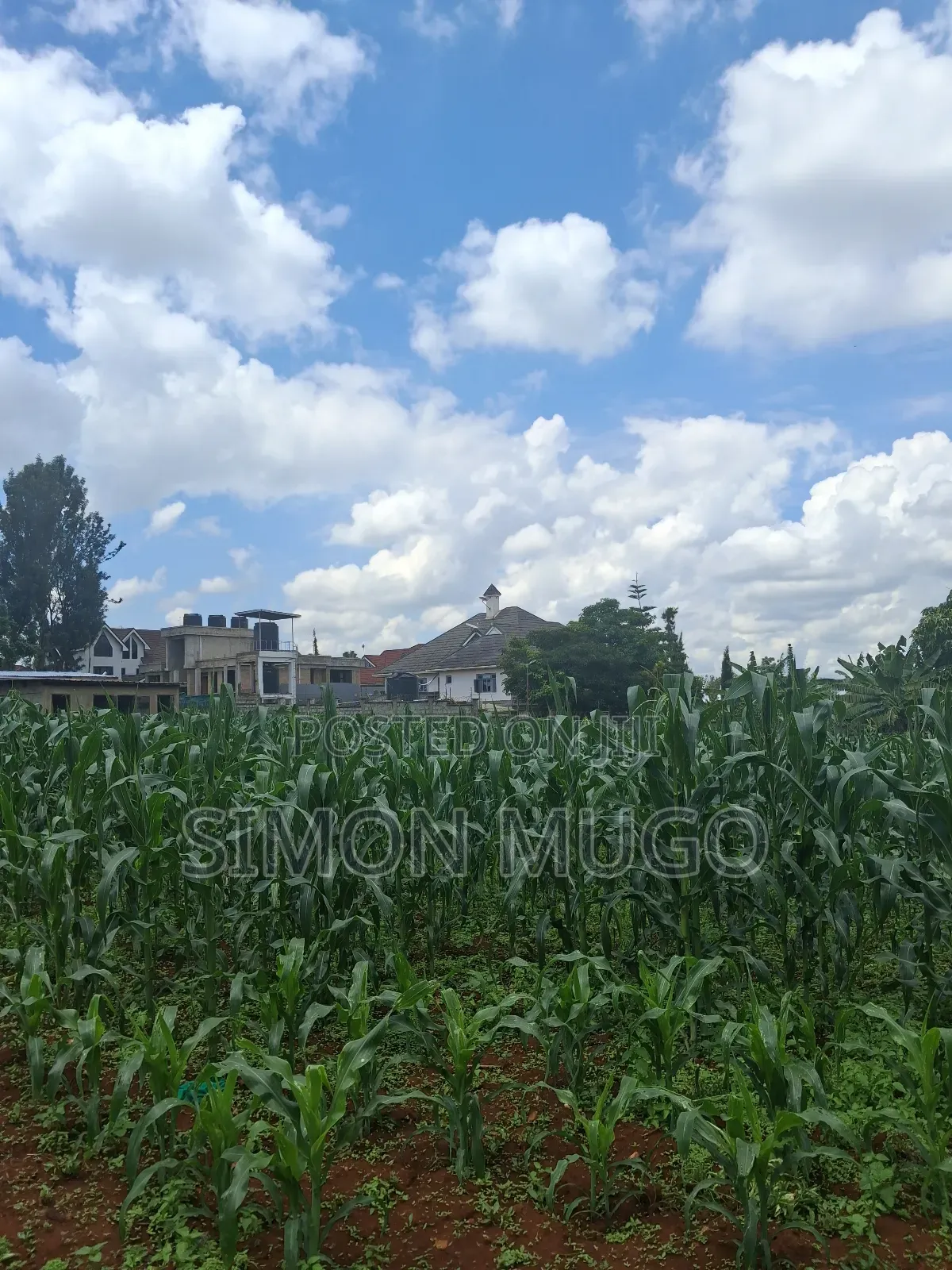 Runda Prime 1.5 Acres Touching Northern Bypass in Kahawa Maziwa