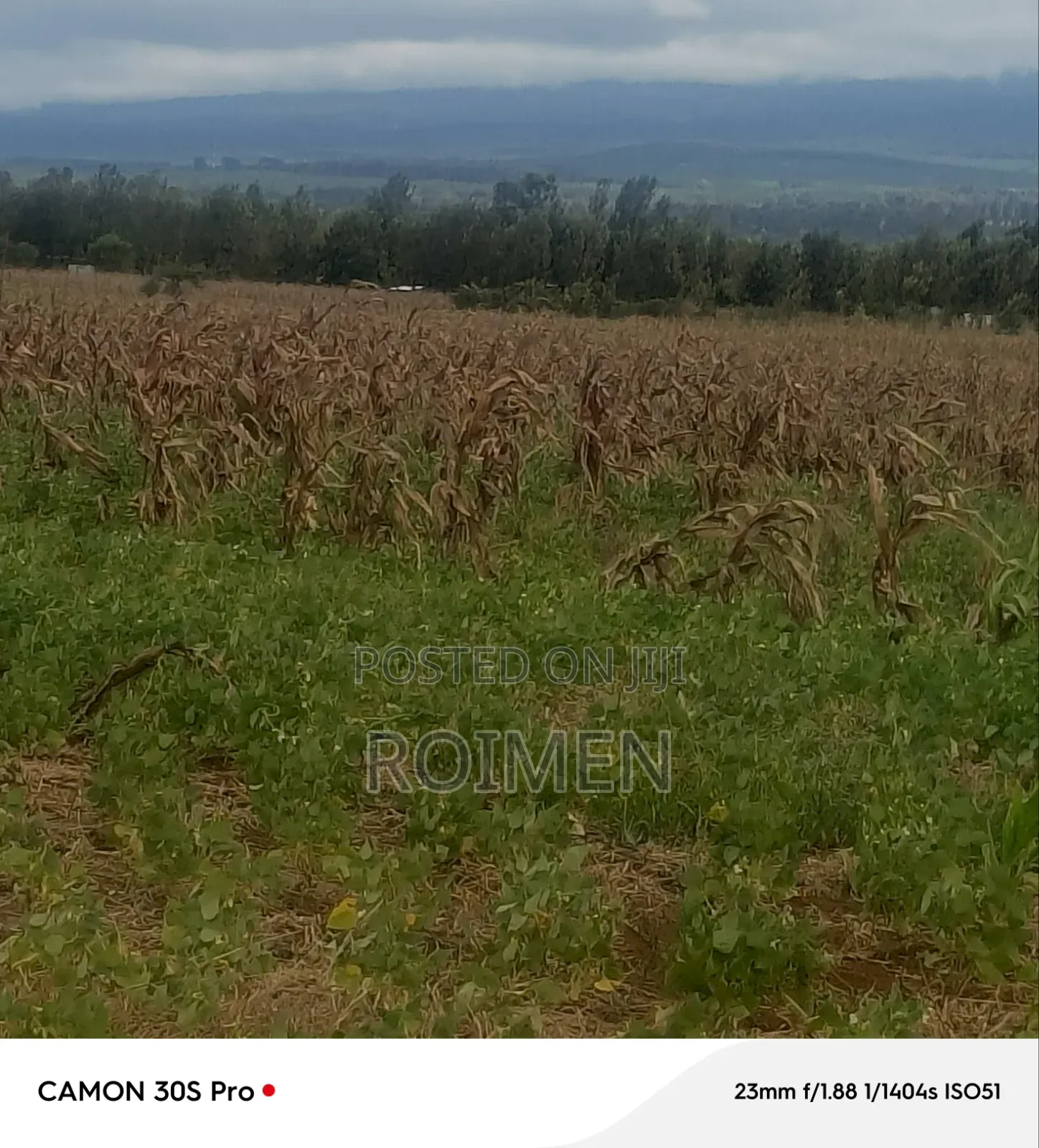 5 Acres Land in Entonet/Lenkisim