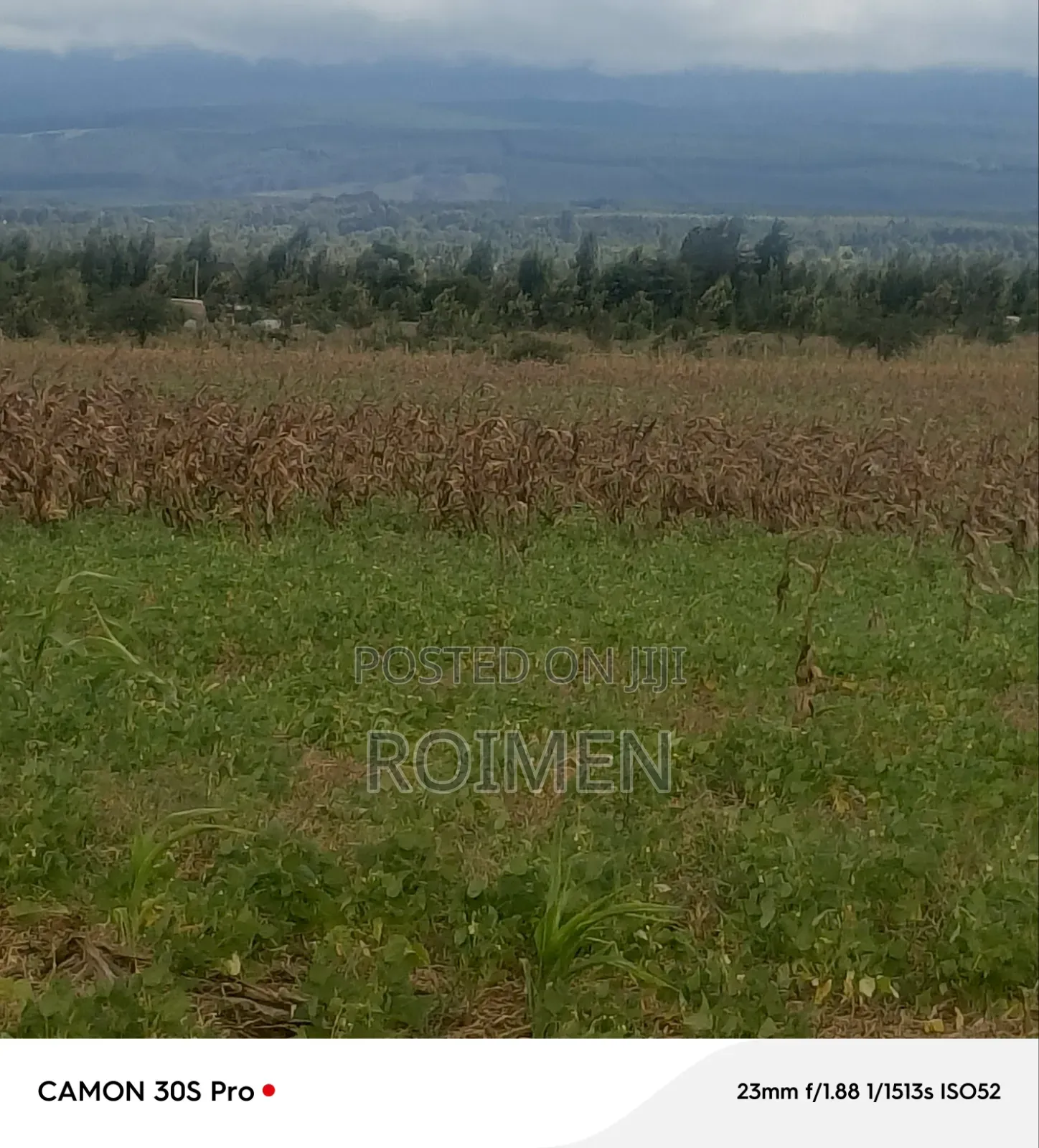 5 Acres Land in Entonet/Lenkisim