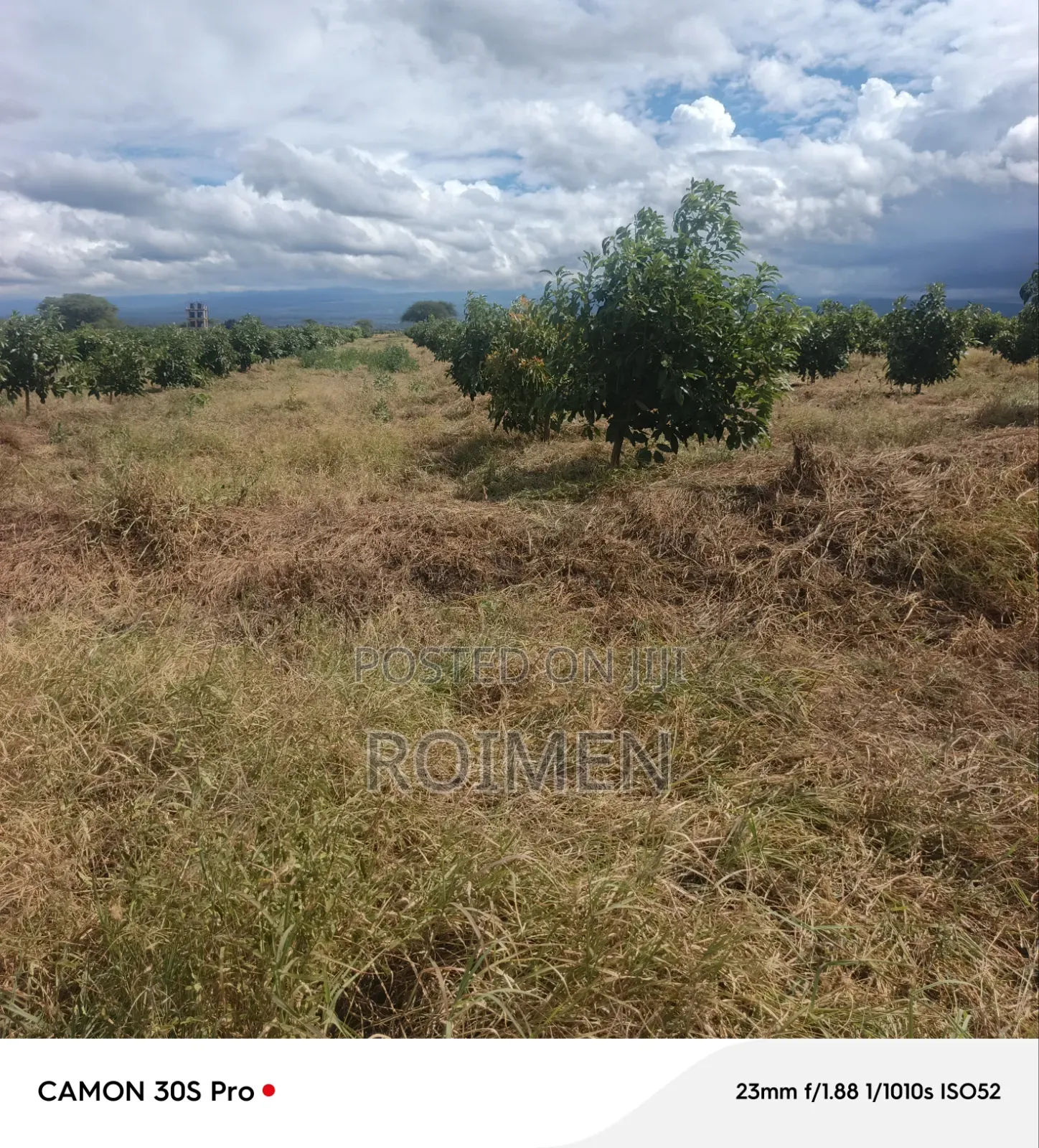22 Acres Land in Loitoktok