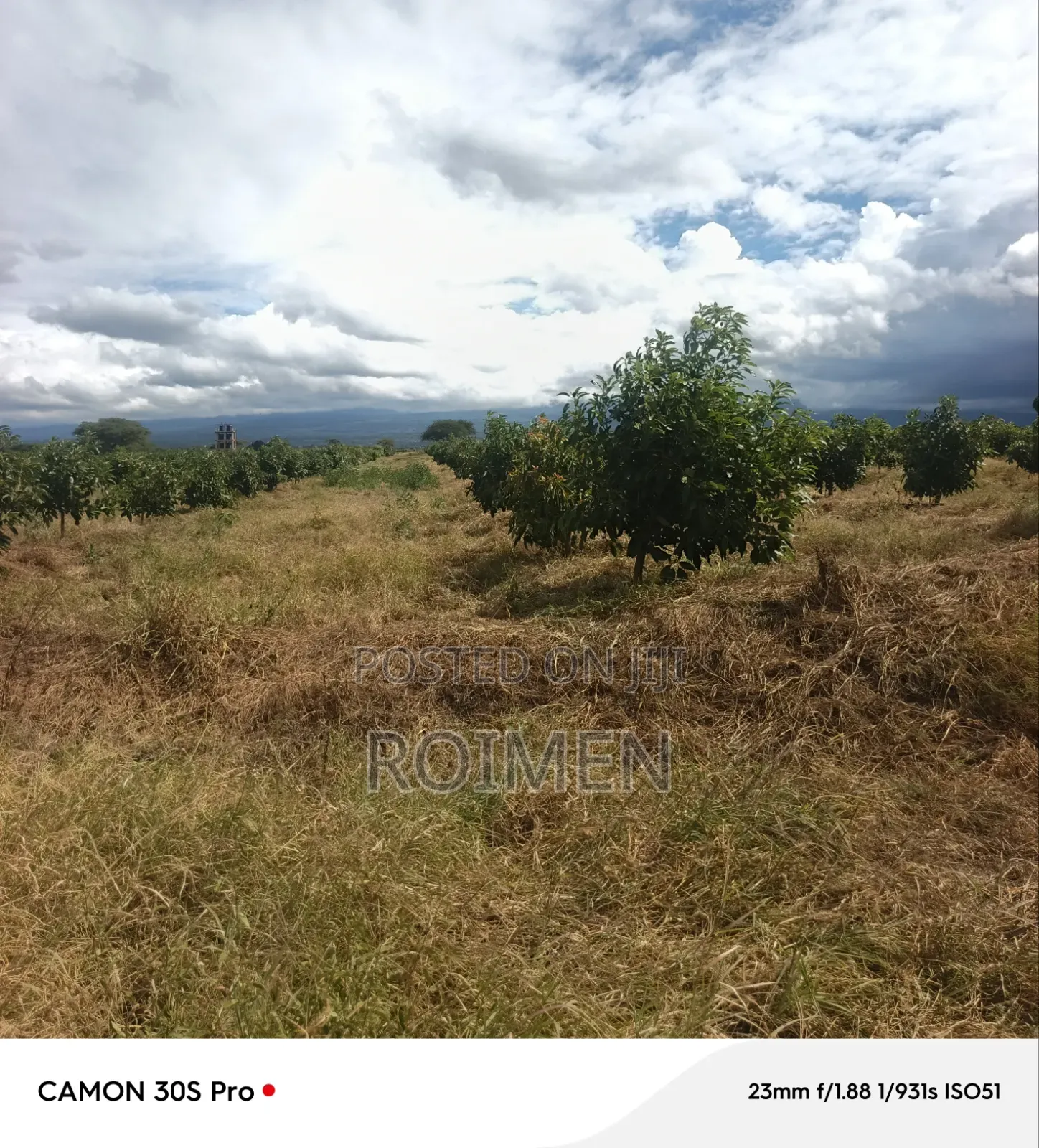 22 Acres Land in Loitoktok