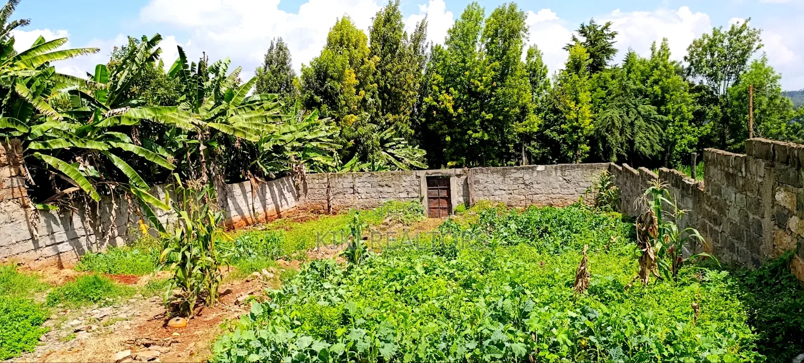 Kikuyu Plots for Sale in Sigona (100x100fts) in Kikuyu