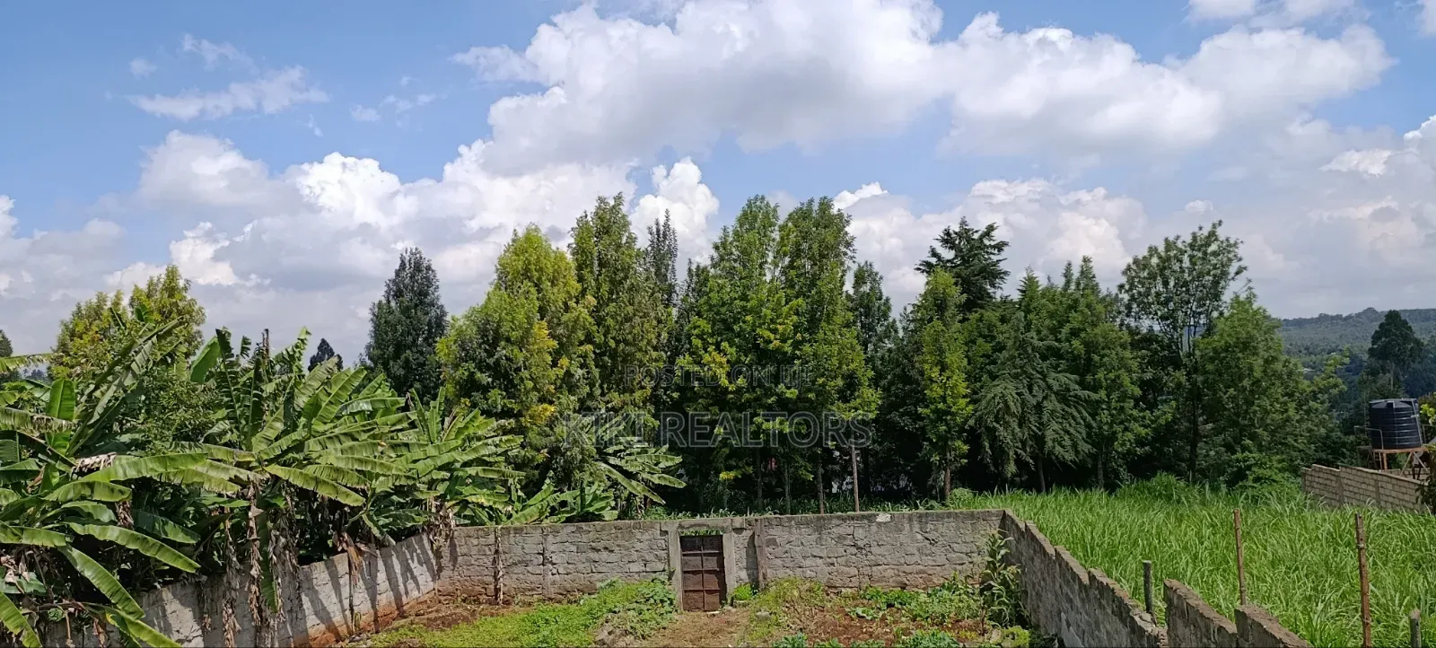 Kikuyu Plots for Sale in Sigona (100x100fts) in Kikuyu