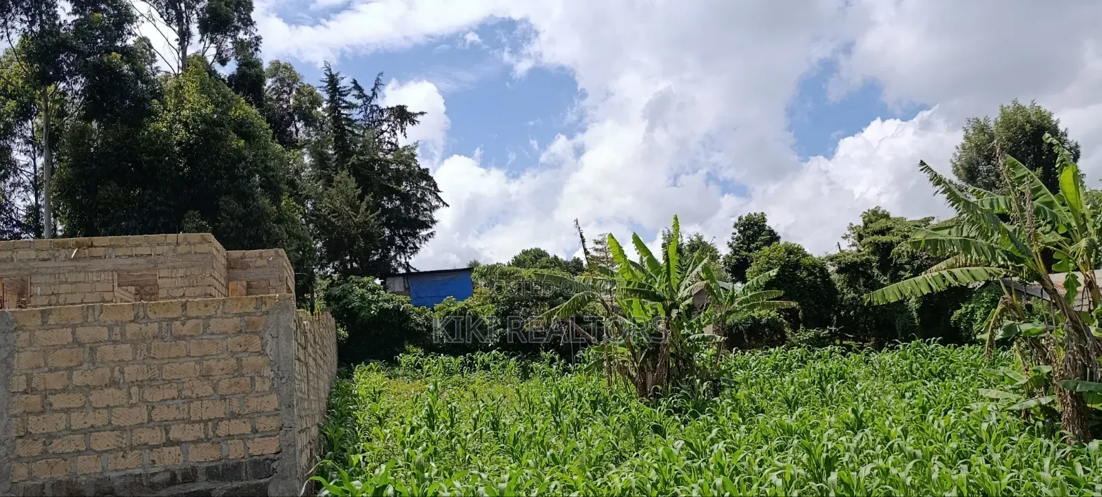 Kikuyu Plots for Sale in Kikuyu