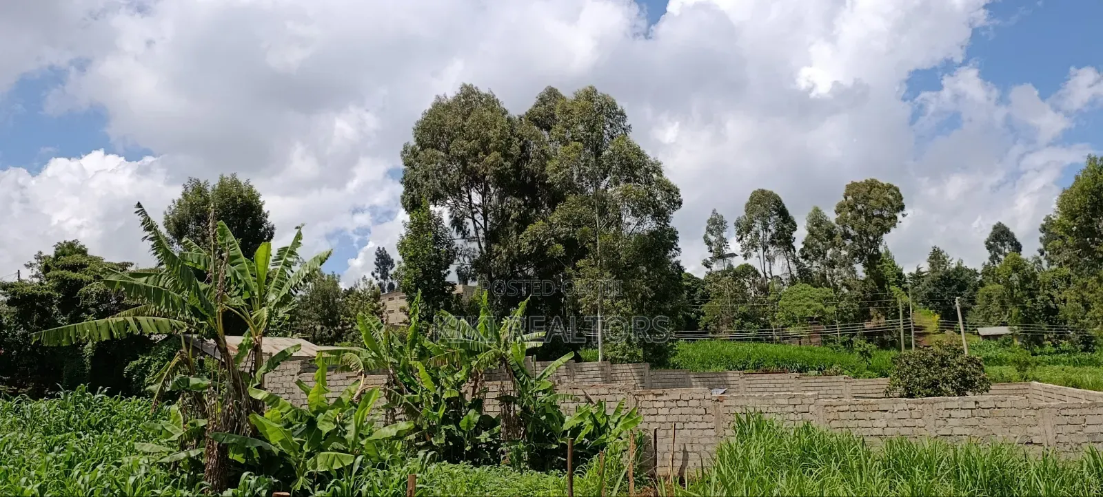 Kikuyu Plots for Sale in Kikuyu