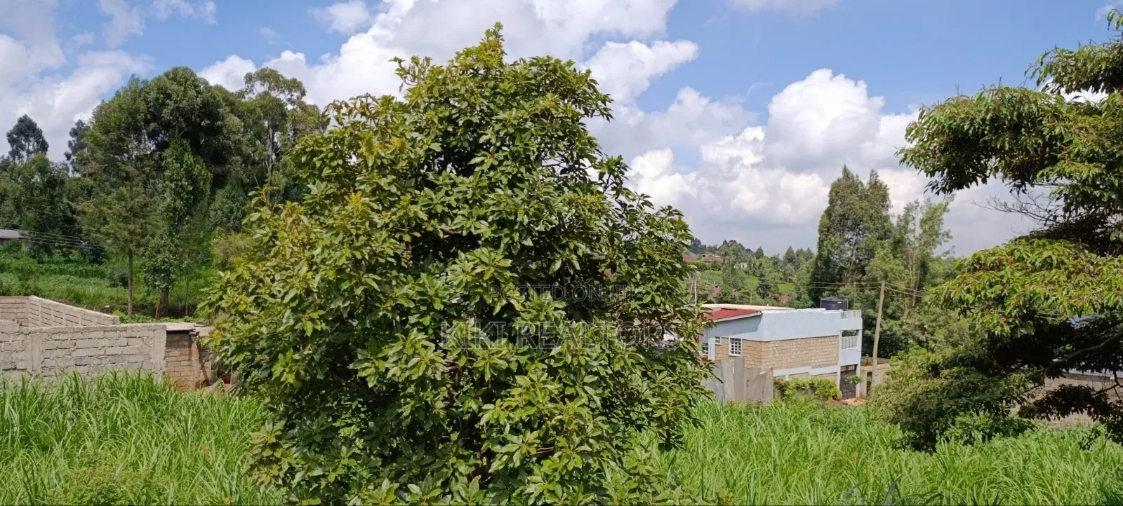 Kikuyu Plots for Sale in Kikuyu