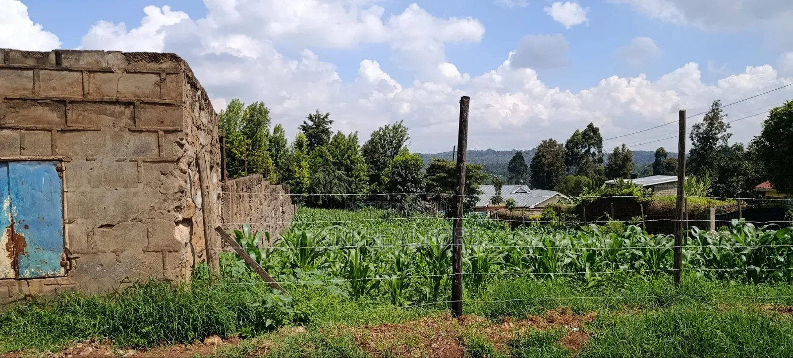 Kikuyu Residential and Prime Plots (100x100fts) in Kikuyu
