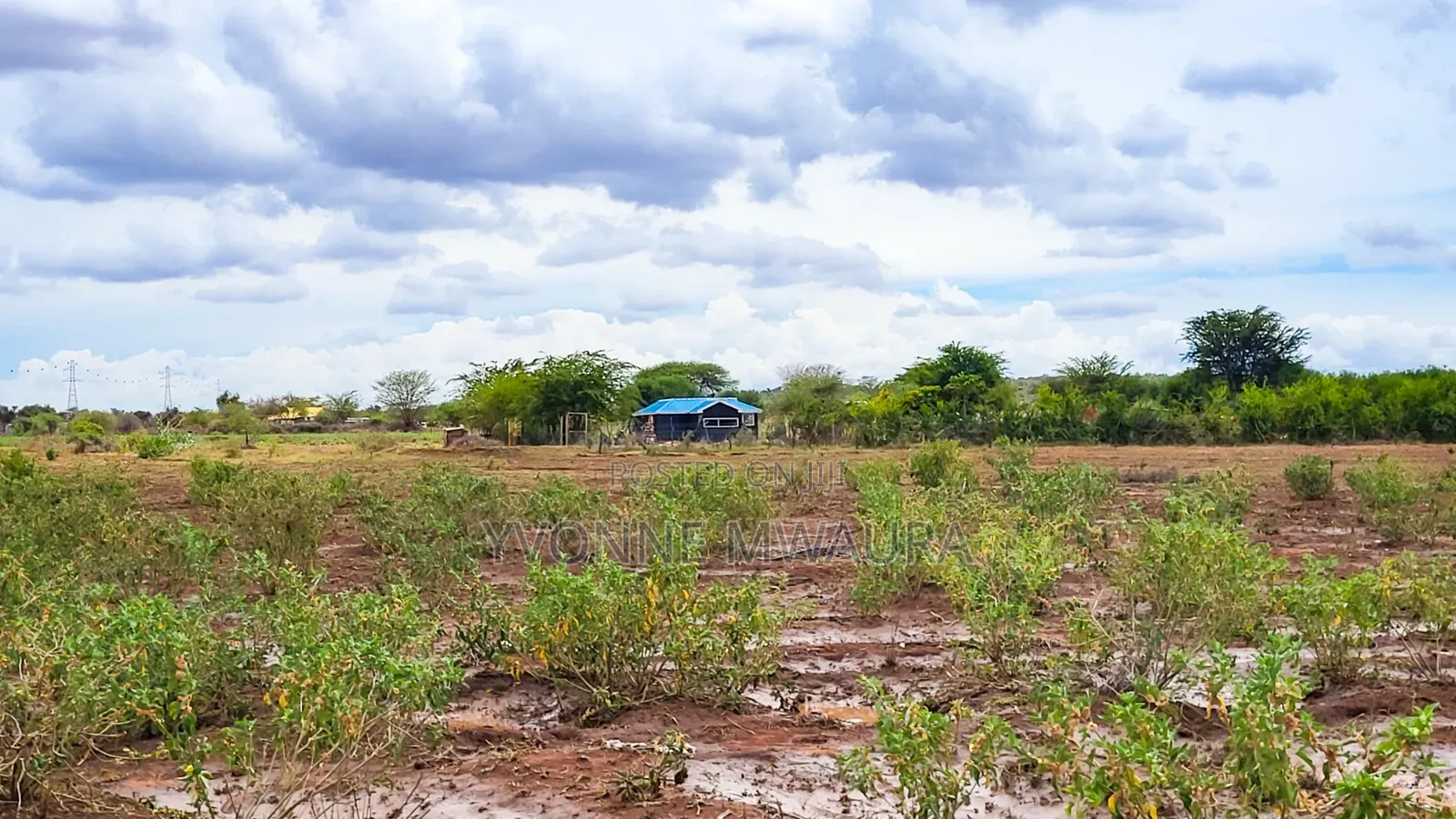 Land for Sale in Loitoktok With Mt Kilimanjaro Views. in Loitoktok