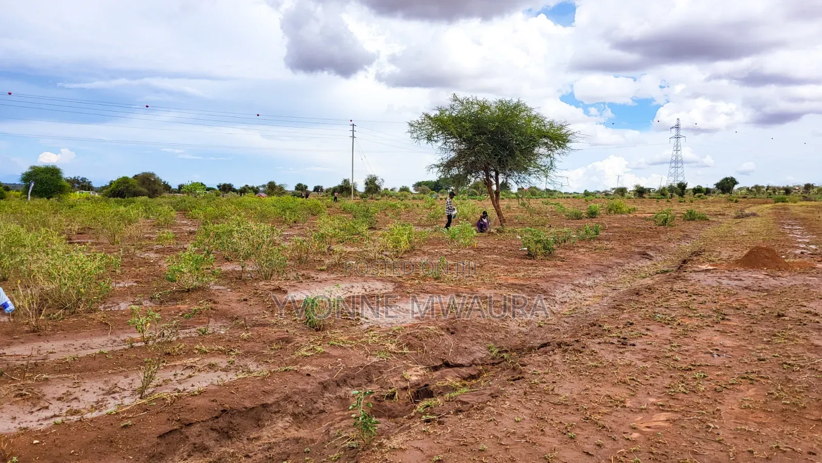Land for Sale in Loitoktok With Mt Kilimanjaro Views. in Loitoktok