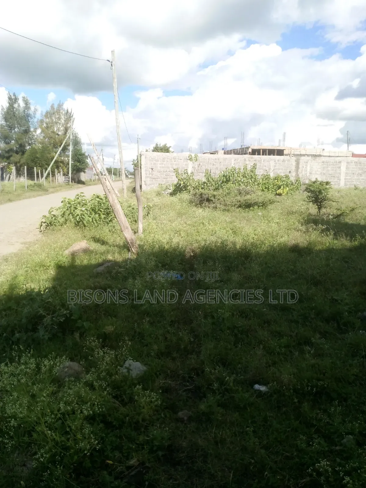 Available 4(50×100ft)Plot for Sale in Machakos Syokimau in Katani