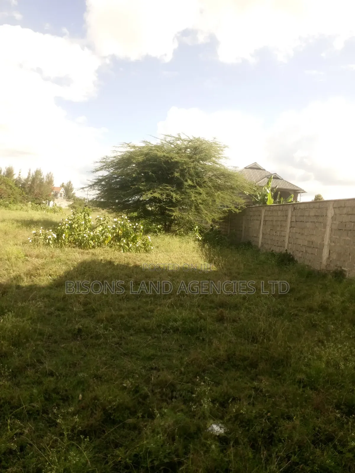 Available 4(50×100ft)Plot for Sale in Machakos Syokimau in Katani