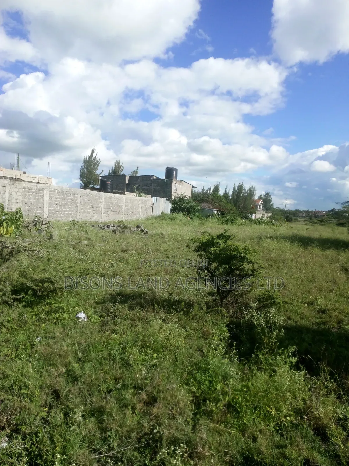 Available 4(50×100ft)Plot for Sale in Machakos Syokimau in Katani