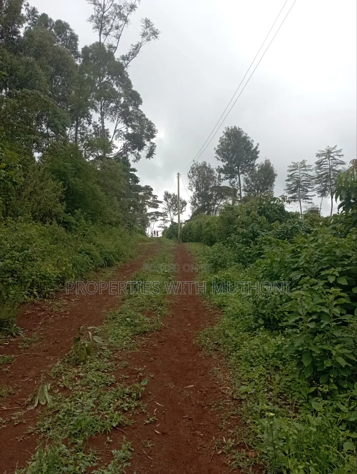 50×100 Plots for Sale in Matasia, Ngong. in Matasia