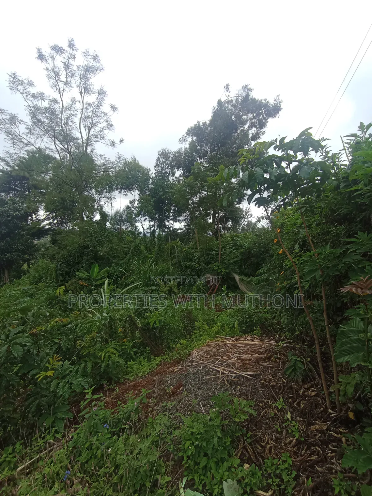 50×100 Plots for Sale in Matasia, Ngong. in Matasia