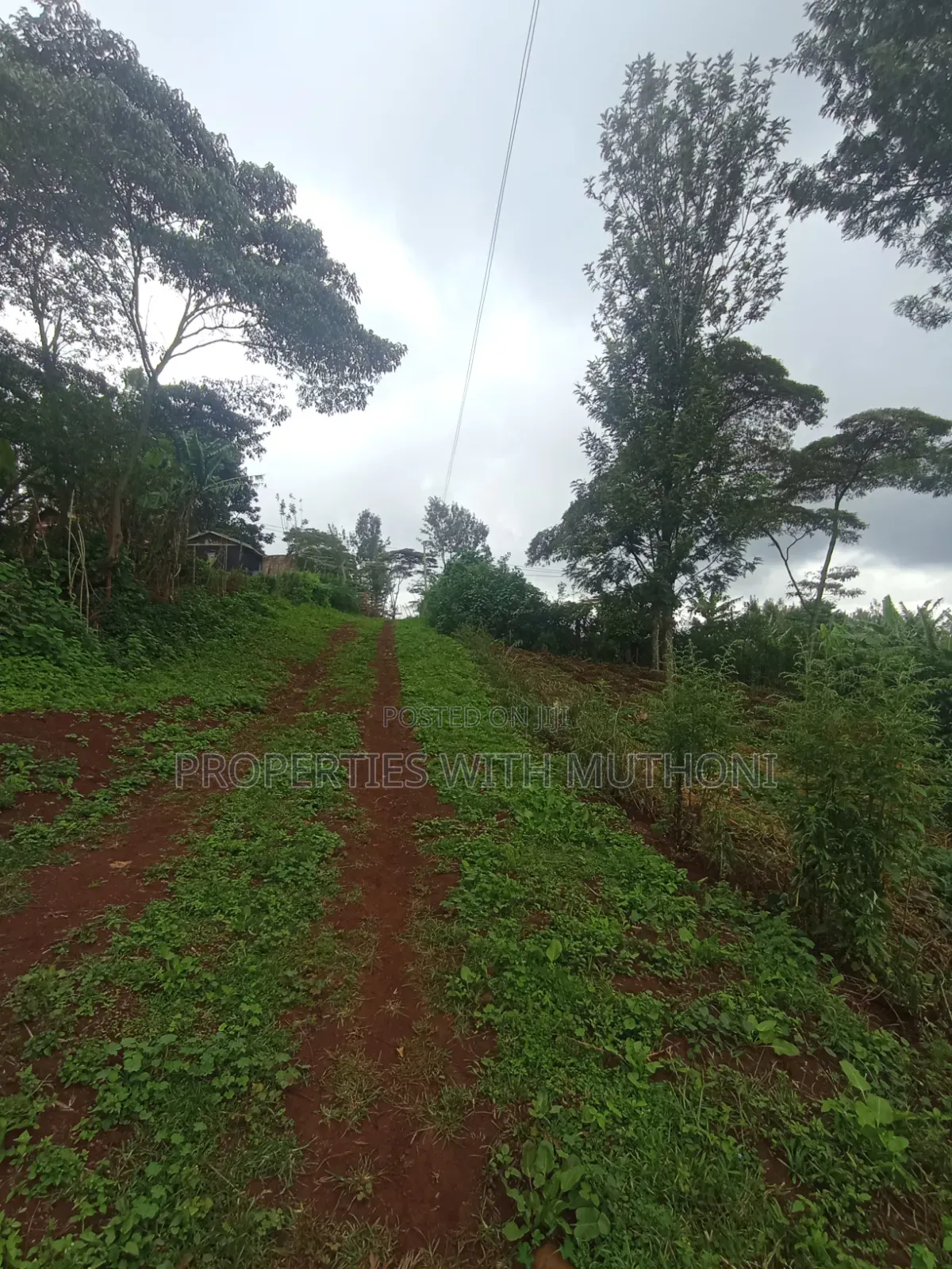50×100 Plots for Sale in Matasia, Ngong. in Matasia