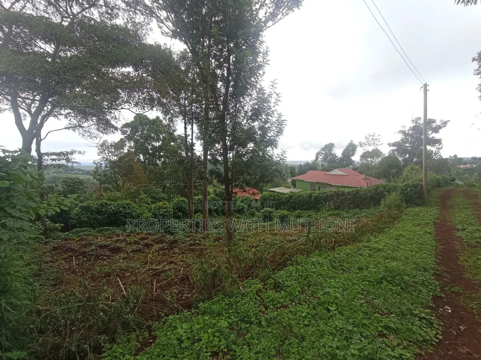 50×100 Plots for Sale in Matasia, Ngong. in Matasia