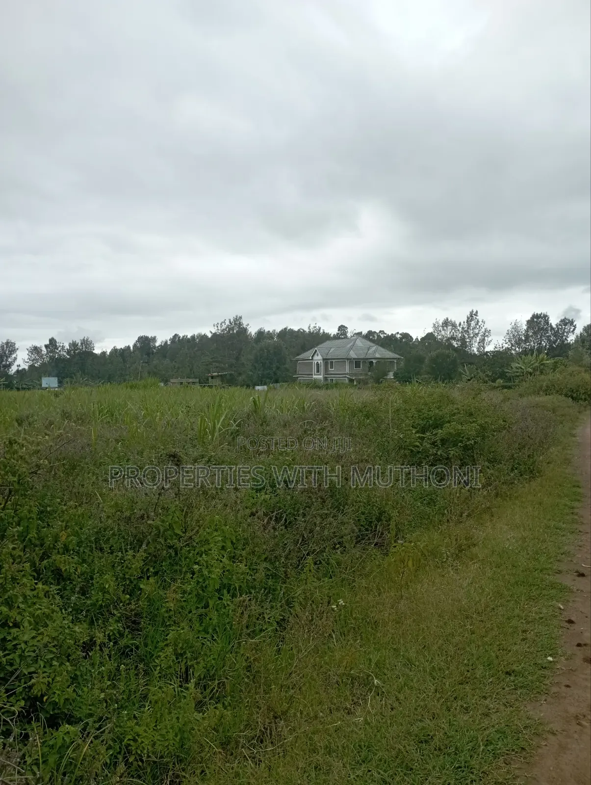 100×100 Plot for Sale in Matasia, Ngong. in Matasia