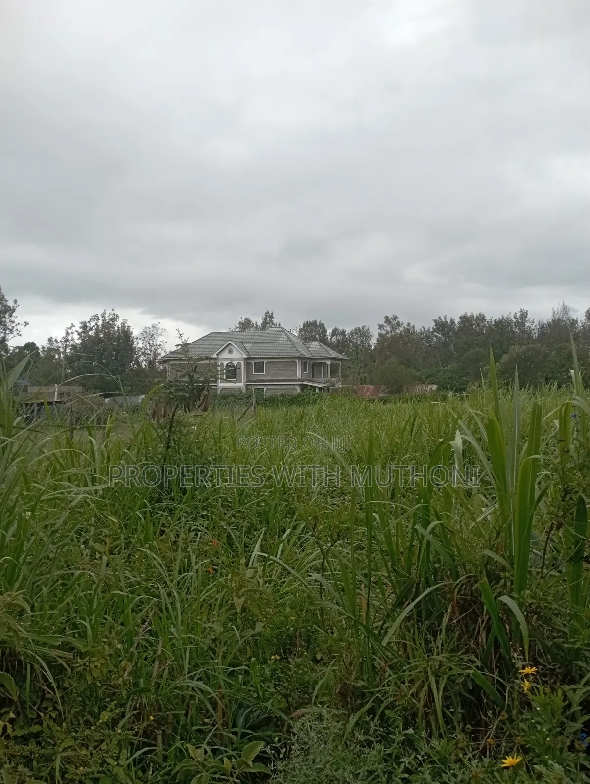 100×100 Plot for Sale in Matasia, Ngong. in Matasia