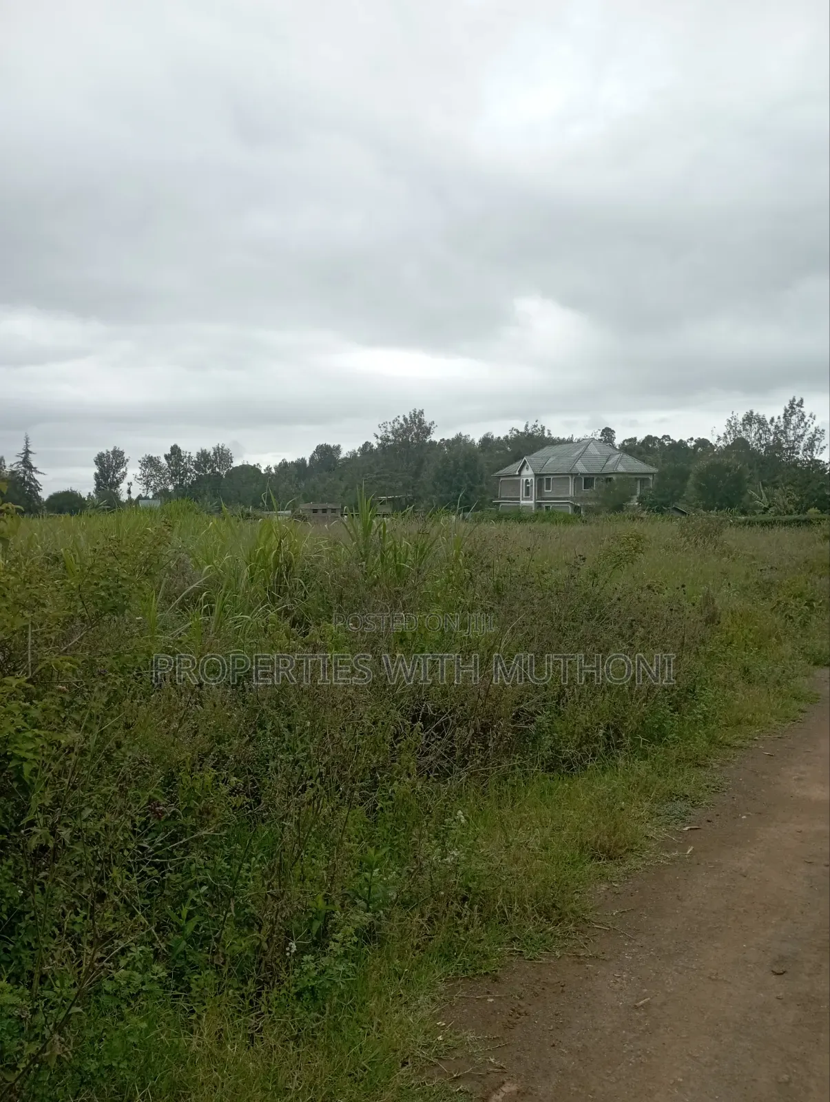 100×100 Plot for Sale in Matasia, Ngong. in Matasia