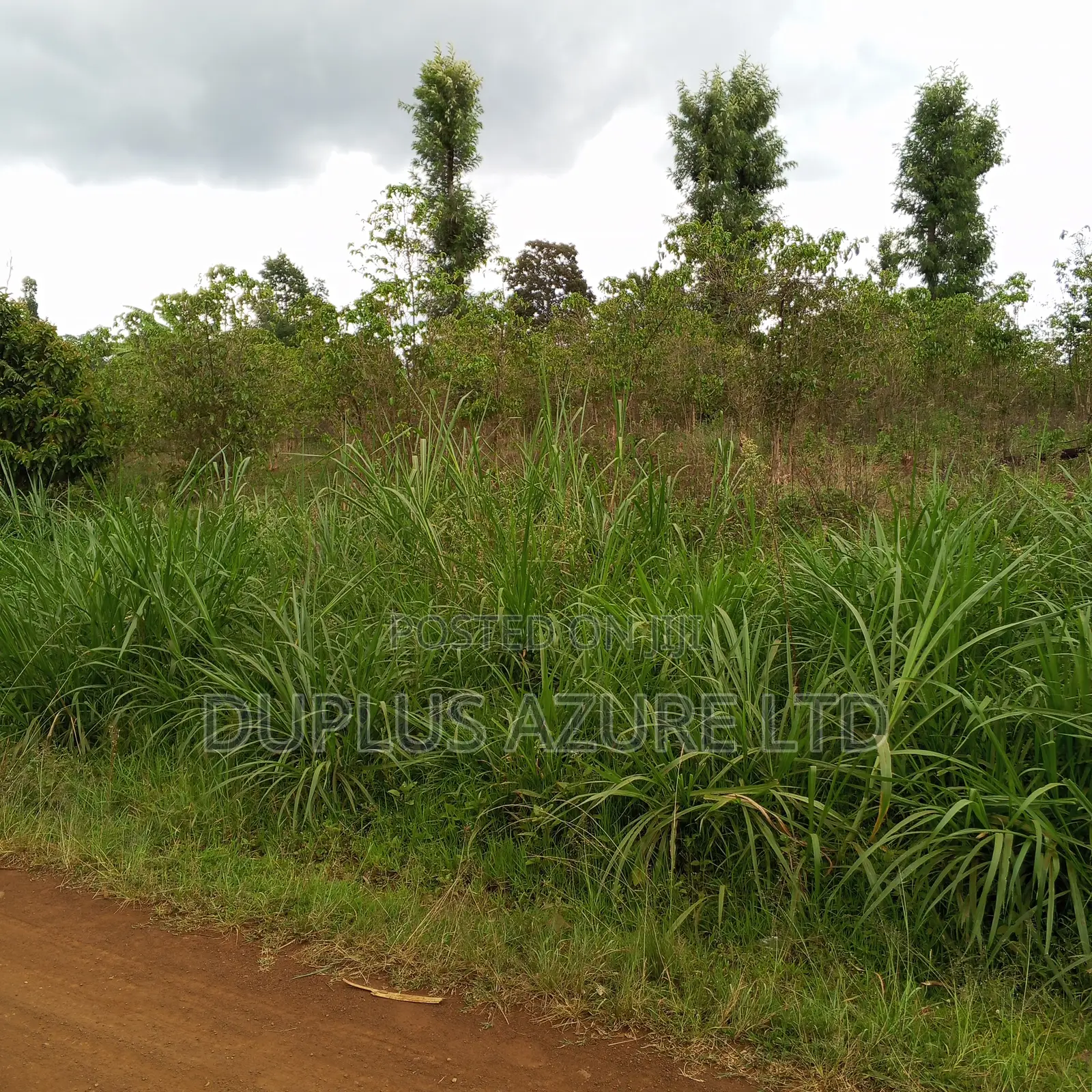 Land for Sale in Kirinyaga in Ngariama
