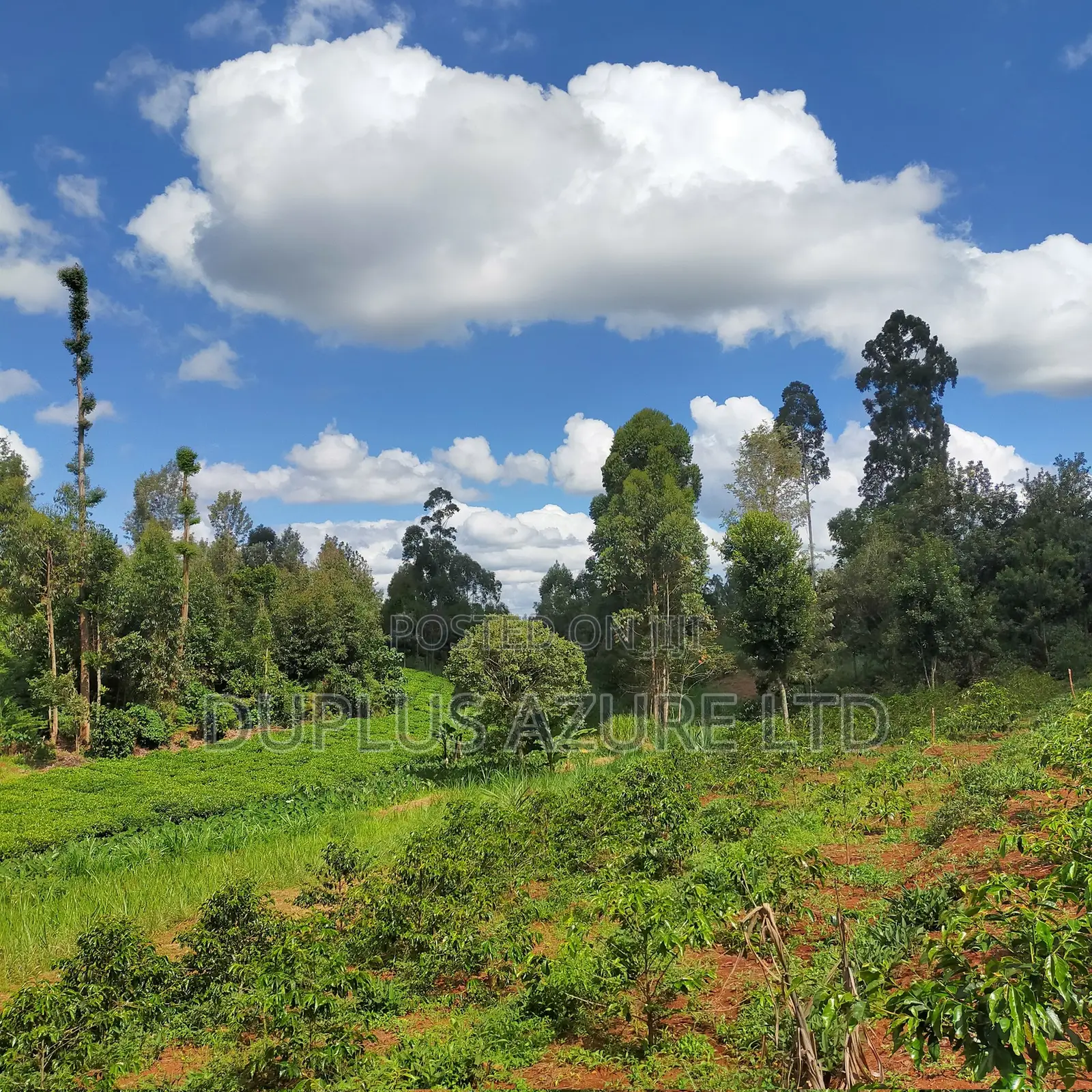 Land for Sale in Kirinyaga in Ngariama