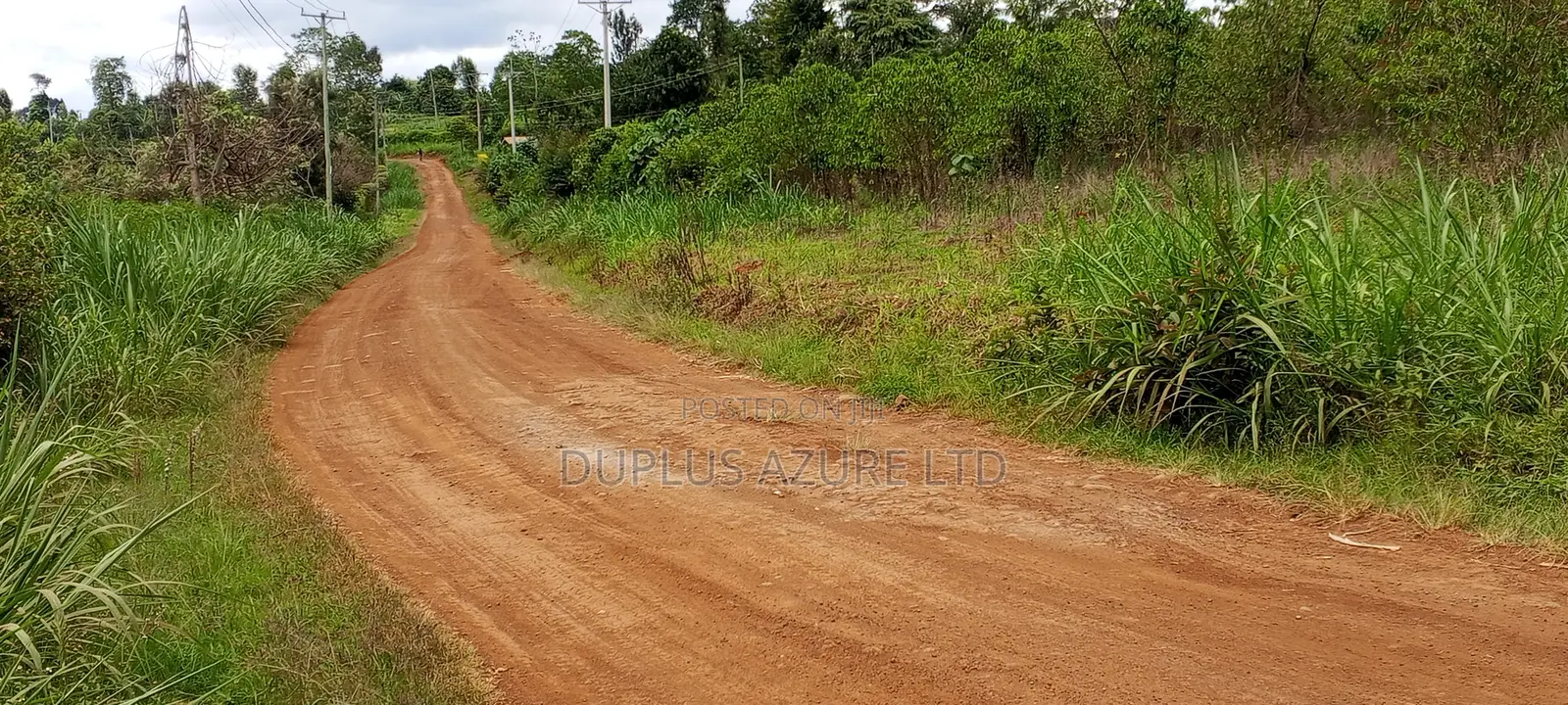 Land for Sale in Kirinyaga in Ngariama
