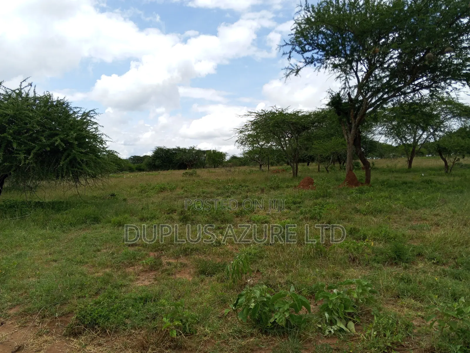 15 Acres for Sale in Kajiado in Imaroro