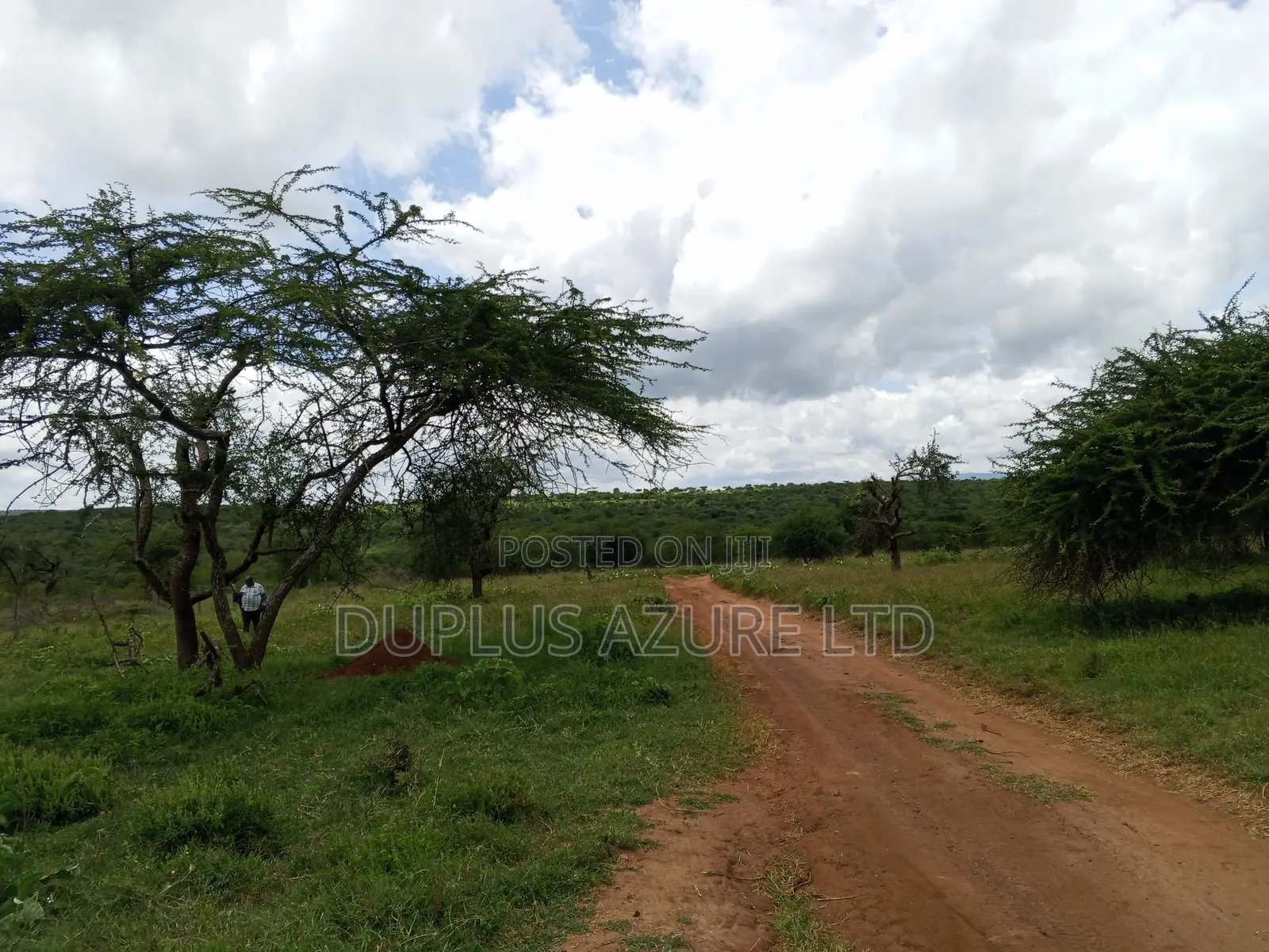 15 Acres for Sale in Kajiado in Imaroro